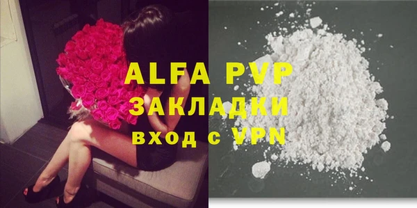 эйфоретик Покачи