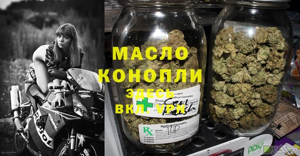 spice Ельня