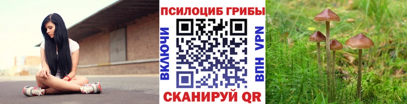 Псилоцибиновые грибы ЛСД  наркошоп  MEGA ССЫЛКА  Светлый 
