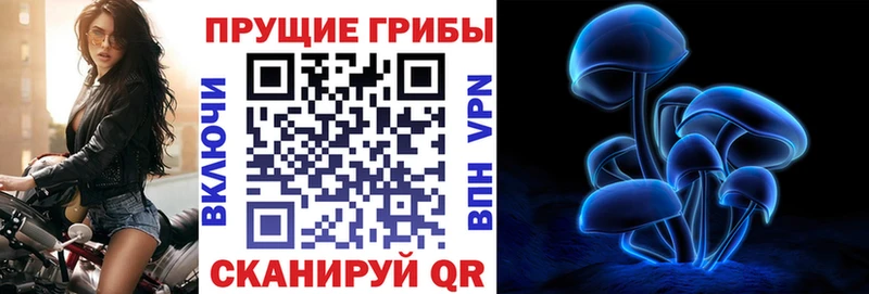 Псилоцибиновые грибы Cubensis Светлый